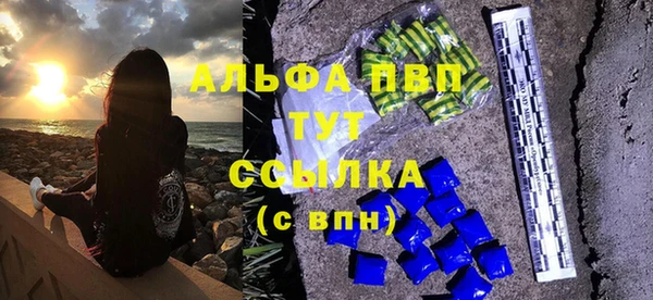тгк Каменка