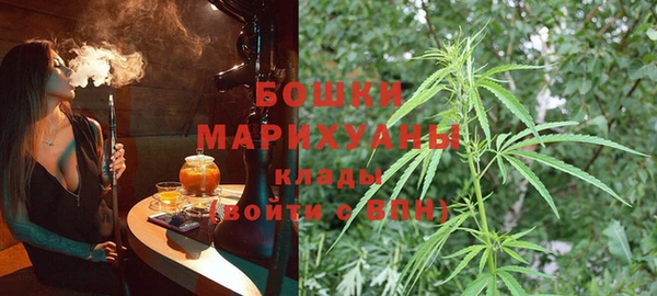 тгк Каменка