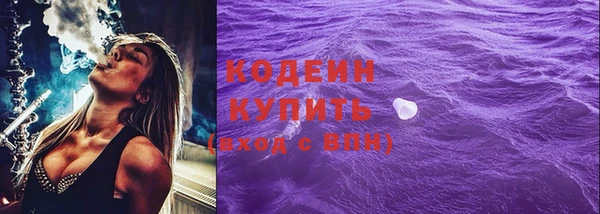 тгк Каменка