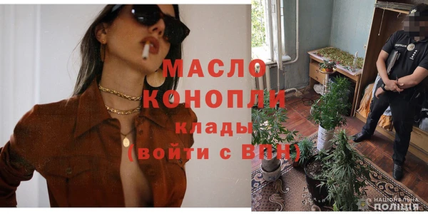 тгк Каменка