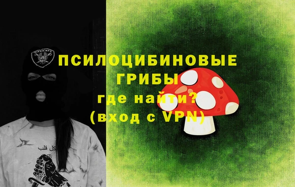 прущая мука Каменногорск