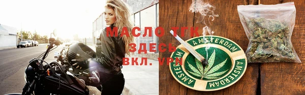 тгк Каменка