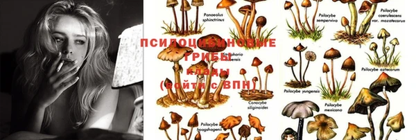 прущая мука Каменногорск