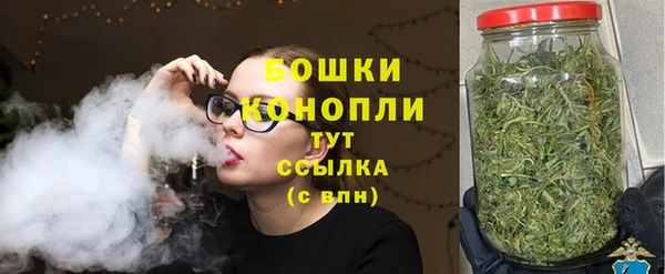 тгк Каменка