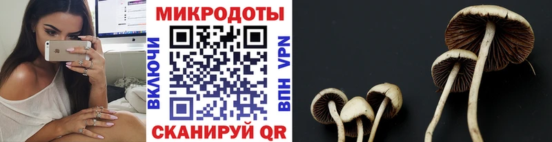 Галлюциногенные грибы Cubensis  Купить где  Ульяновск 