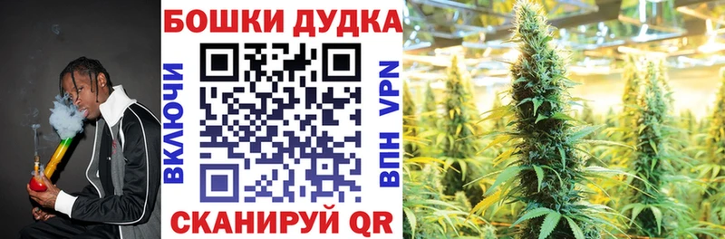 Конопля Amnesia  Купить  Ульяновск 